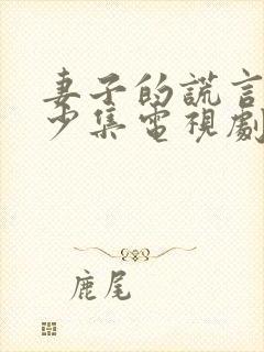 妻子的谎言共多少集电视剧