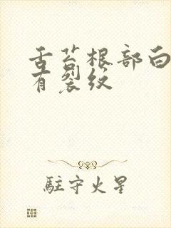 舌苔根部白腻厚有裂纹