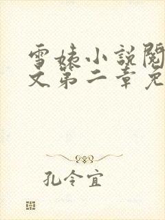 雪姨小说阅读全文第二章免费阅读