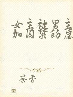 女主被男主qj加囚禁的虐文