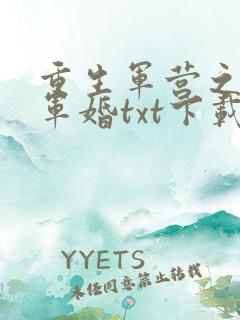 重生军营之王牌军婚txt下载