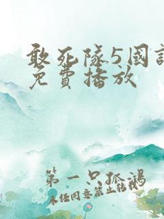 敢死队5国语版免费播放