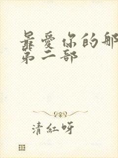 最爱你的那十年第二部