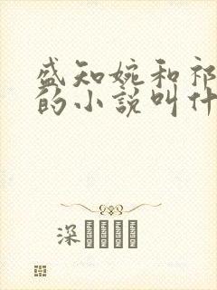 盛知婉和祁书羡的小说叫什么名字