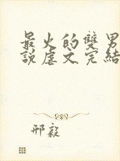 最火的双男主小说虐文完结受推文