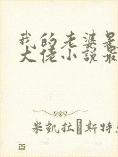 我的老婆是京圈大佬小说最新章节