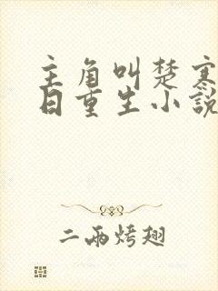 主角叫楚寒的末日重生小说