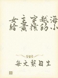 女主穿越海贼嫁给黄猿的小说