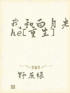我和白月光男神he[重生]