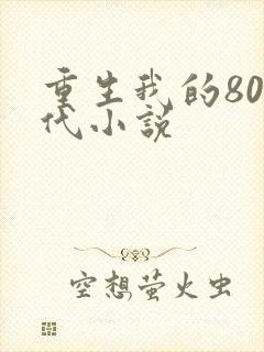 重生我的80年代小说