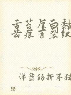 舌苔厚白黏腻有齿痕有裂纹