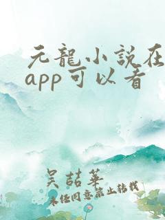 元龙小说在哪个app可以看