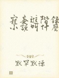 宠妾进阶录原著小说叫什么