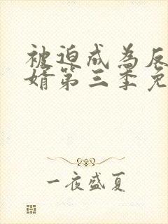 被迫成为反派赘婿第三季免费