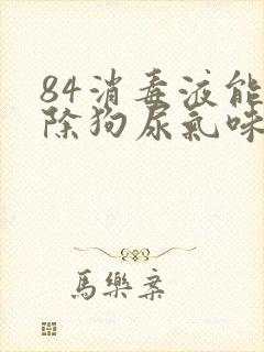 84消毒液能消除狗尿气味吗