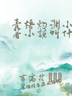 青梧灼渊小说原著小说叫什么名字