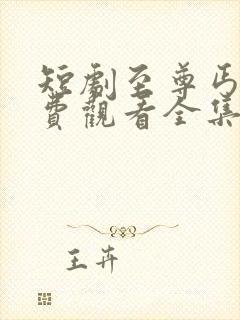 短剧至尊丐婿免费观看全集高清