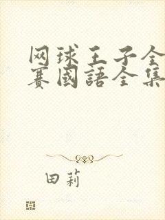 网球王子全国大赛国语全集免费观看