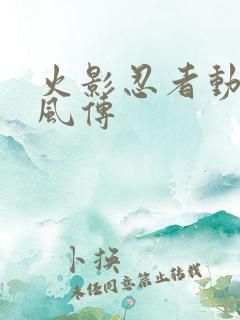 火影忍者动画疾风传