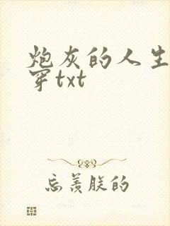 炮灰的人生2快穿txt