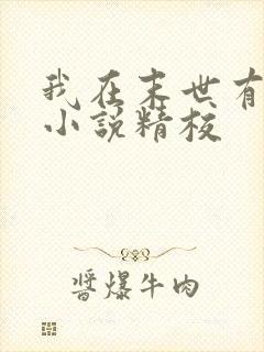 我在末世有套房小说精校