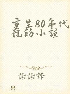 重生80年代李龙的小说