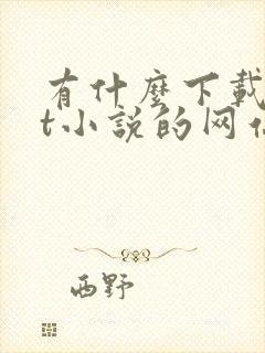 有什么下载txt小说的网站