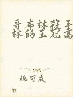 哥布林杀手哥布林的王冠高清