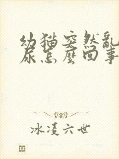 幼猫突然乱拉乱尿怎么回事