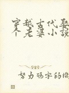 穿越古代娶了三个老婆小说