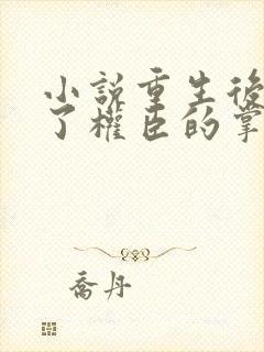 小说重生后我成了权臣的掌中娇免费阅读免费