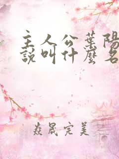 主人公叶阳的小说叫什么名字