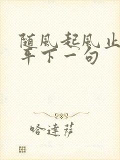 随风起风止意难平下一句