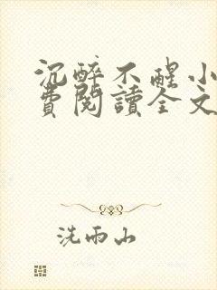 沉醉不醒小说免费阅读全文无弹窗