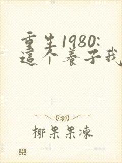 重生1980:这个养子我不当了短剧