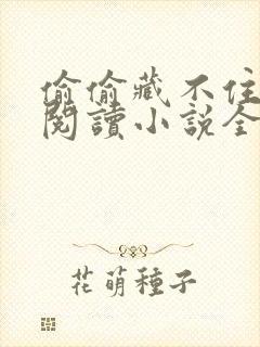 偷偷藏不住在线阅读小说全集免费