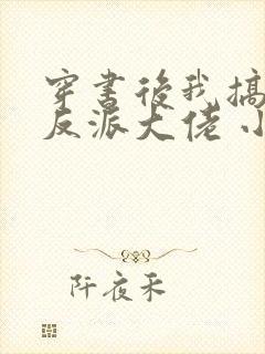 穿书后我搞到了反派大佬 小火子