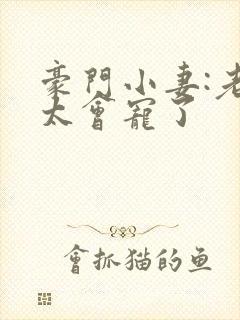 豪门小妻:老公太会宠了