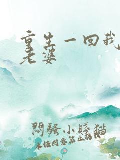 重生一回我要换老婆