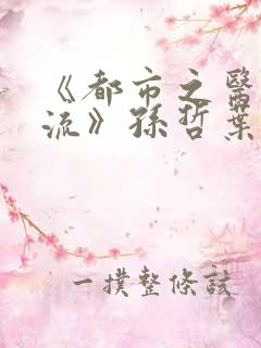 《都市之医武风流》孙哲叶巧