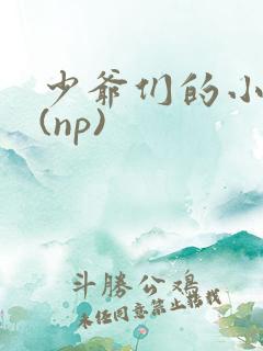 少爷们的小女仆(np)