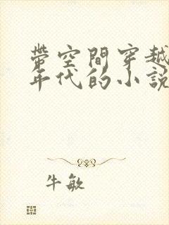 带空间穿越粮票年代的小说