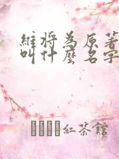 维将为原著小说叫什么名字