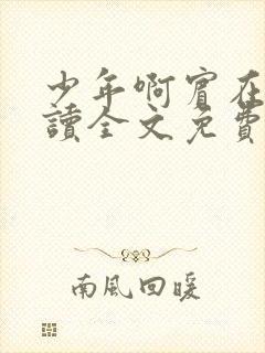 少年啊宾在线阅读全文免费阅读最新