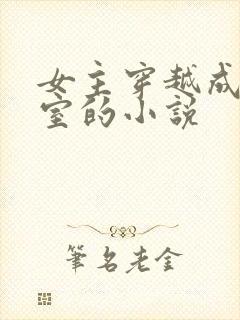 女主穿越成了外室的小说