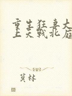 重生狂妻大佬宠上天战北庭