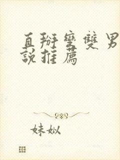 直掰弯双男主小说推荐