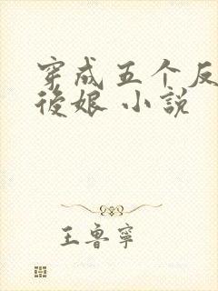 穿成五个反派的后娘 小说