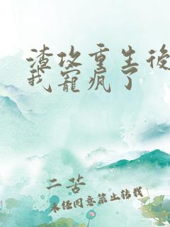 渣攻重生后,把我宠疯了