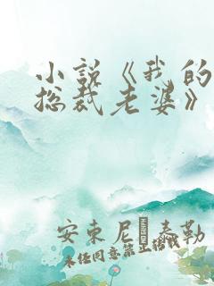 小说《我的冰山总裁老婆》